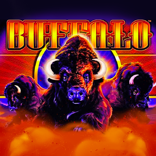 Buffalo